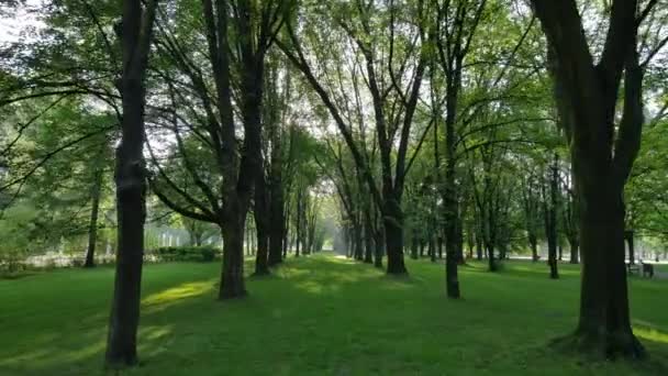 Beau parc dans le centre de Varsovie . — Video