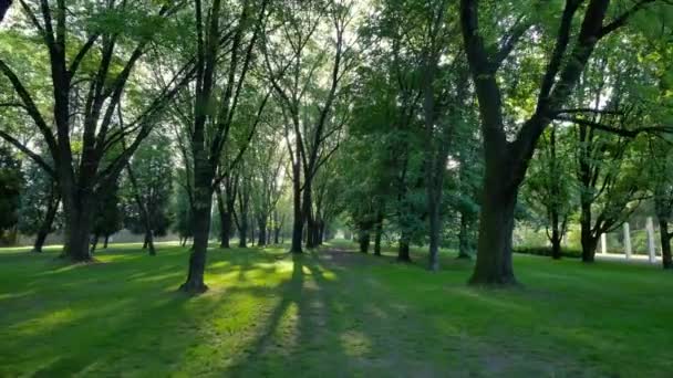 Beau parc dans le centre de Varsovie .