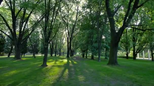 Vacker park i centrala Warszawa. — Stockvideo