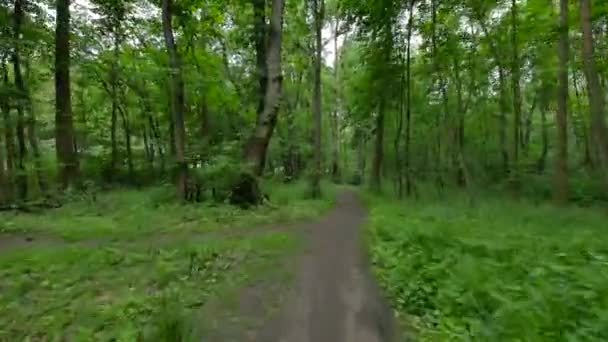 Personne à vélo dans la forêt . 