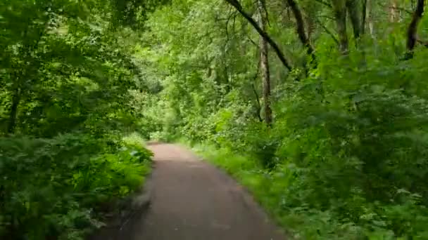 Людина їде на велосипеді в лісі . — стокове відео