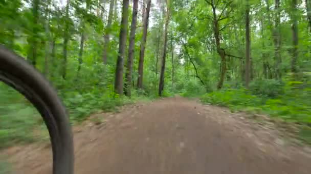 Πρόσωπο ιππασία ποδήλατο στο δάσος. — Αρχείο Βίντεο