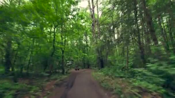 Persoon rijden fiets in het bos. — Stockvideo