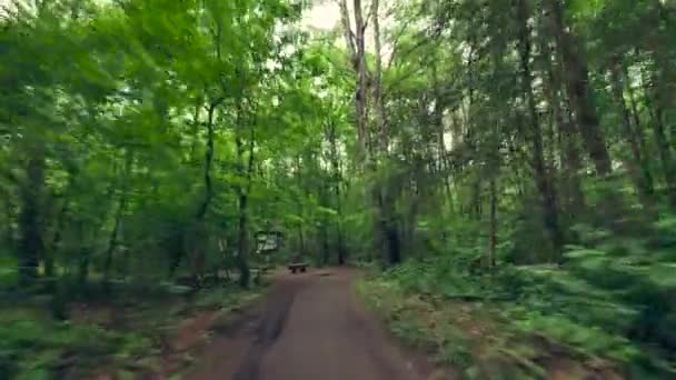 Person radelt im Wald. — Stockvideo