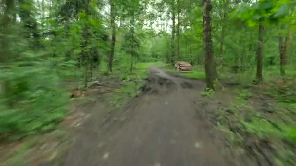 Personne à vélo dans la forêt . 