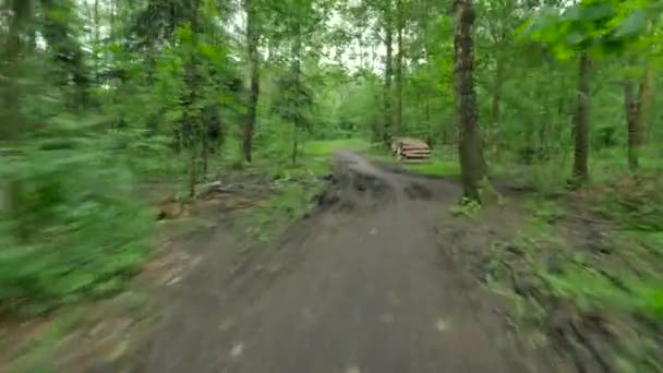 Pessoa andar de bicicleta na floresta . — Vídeo de Stock