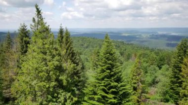 Yeşil tepeler Uhd görüntüleri