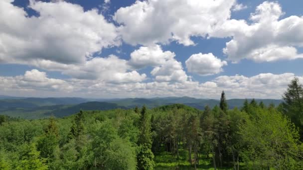 Zelené kopce Uhd záběry — Stock video