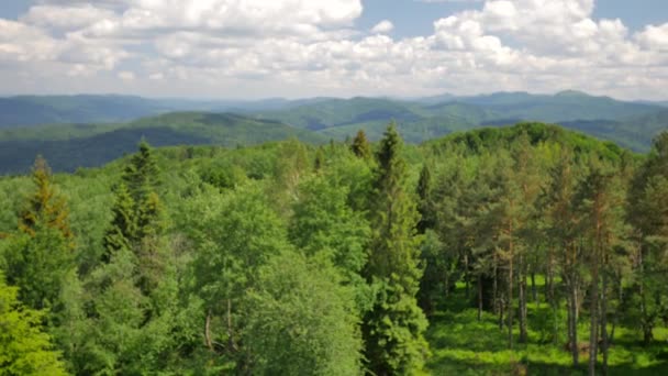 Natura della Polonia . — Video Stock