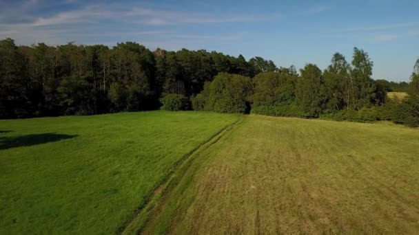 Paysage rural de Pologne . — Video