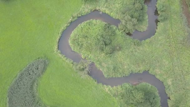 Повітряних кадри nauter в Європі. — стокове відео