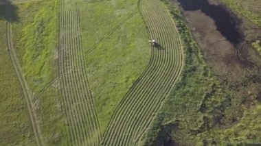 Çayır üzerinde çalışan çiftçi.
