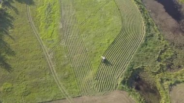Çayır üzerinde çalışan çiftçi.