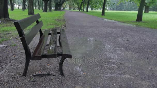 Polen Warschau Datum 08202017 Regenachtige Dag Het Park Het Centrum — Stockvideo