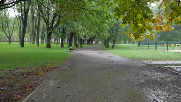 Πολωνία Βαρσοβία Ημερομηνίας 08202017 Βροχερή Μέρα Στο Πάρκο Στο Κέντρο — Αρχείο Βίντεο