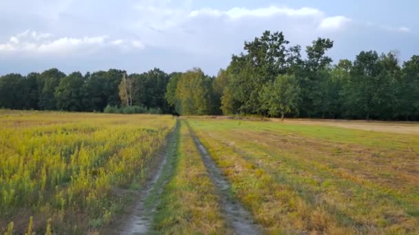 Rurale landschap in Polen. — Stockvideo