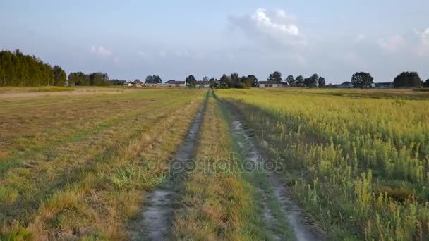 Rurale landschap in Polen. — Stockvideo
