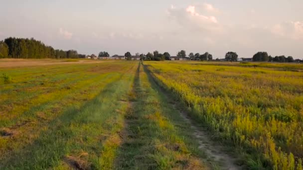 Αγροτικό τοπίο στην Πολωνία. — Αρχείο Βίντεο