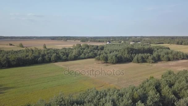 Varsovie / Bolimow / date 08242017. Paysage rural européen vu d'en haut. Vue aérienne de la nature en Europe .