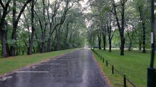 Regenachtige dag in het park, Warschau. — Stockvideo