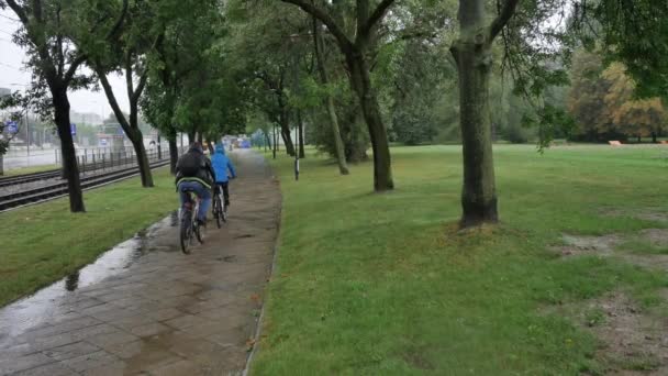 Regenachtige dag in het park, Warschau. — Stockvideo