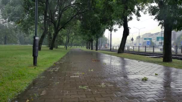 Regentag im Park, Warschau. — Stockvideo