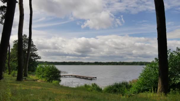 Hermoso lago en día nublado . — Vídeo de stock