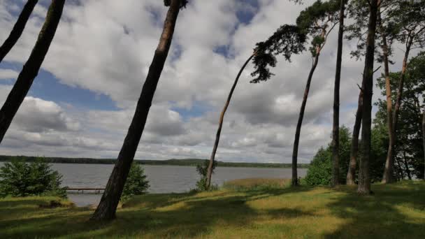 Schöner See am bewölkten Tag. — Stockvideo