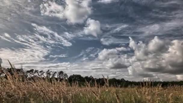 Wunderschöne Landschaft im Süden Polens. — Stockvideo