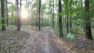 Fauna ve flora Avrupa'nın.