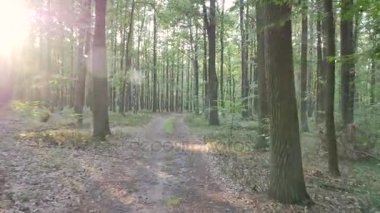 Fauna ve flora Avrupa'nın.