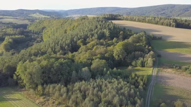 Zdjęcia lotnicze z lasów, zielonych wzgórz i łąk. — Wideo stockowe