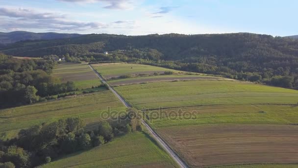 Colpo aereo di bosco, verdi colline e prati . — Video Stock