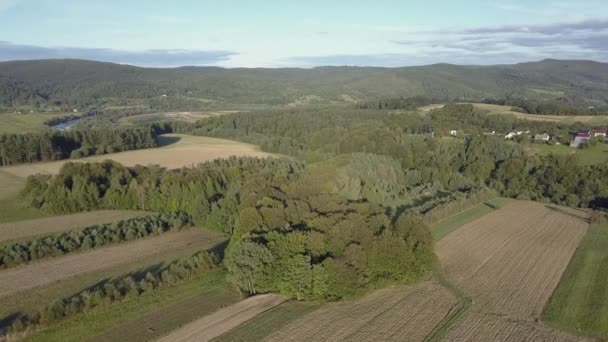 Letecký snímek lesy, zelené kopce a louky.