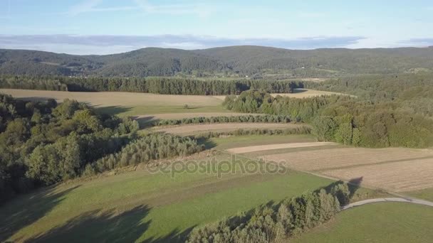 Antenn skott av skog, gröna kullar och ängar. — Stockvideo