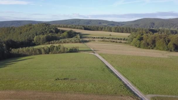 Colpo aereo di bosco, verdi colline e prati . — Video Stock