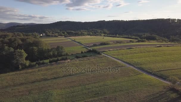 Colpo aereo di bosco, verdi colline e prati . — Video Stock