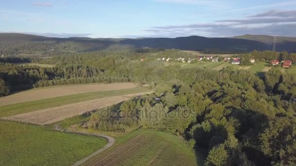 空中拍摄的树林, 绿色的山丘和草地. — 图库视频影像