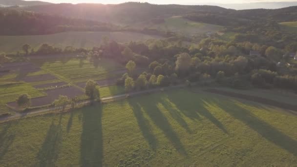 Zdjęcia lotnicze z lasów, zielonych wzgórz i łąk. — Wideo stockowe