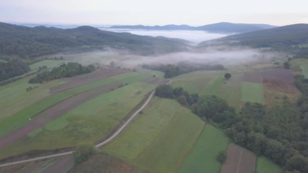 Letecký snímek lesy, zelené kopce a louky. — Stock video