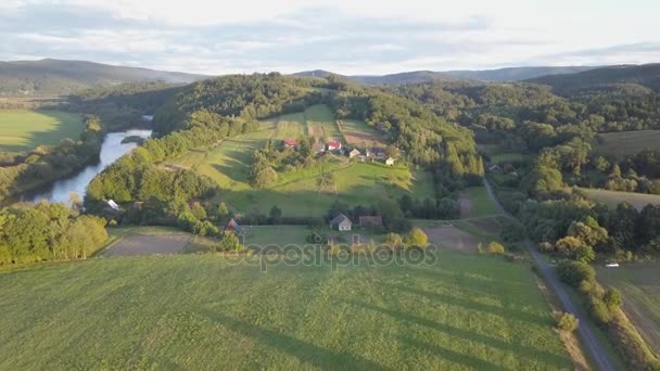 Colpo aereo di bosco, verdi colline e prati . — Video Stock