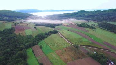 Woods, yeşil tepelerin ve çayırlar hava atış.