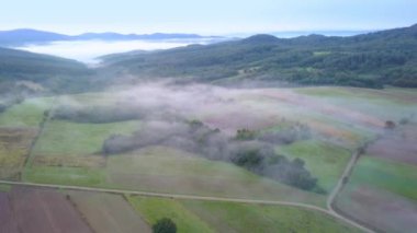 Woods, yeşil tepelerin ve çayırlar hava atış.