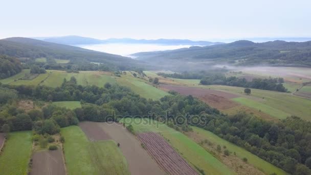 Tiro aéreo de florestas, colinas verdes e prados . — Vídeo de Stock