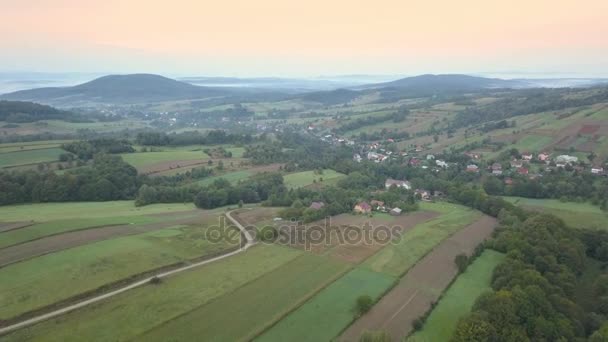 Colpo aereo di bosco, verdi colline e prati . — Video Stock