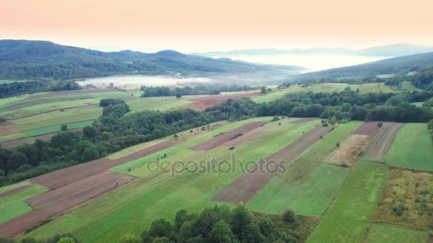 Vista aérea de bosques, verdes colinas y prados . — Vídeos de Stock