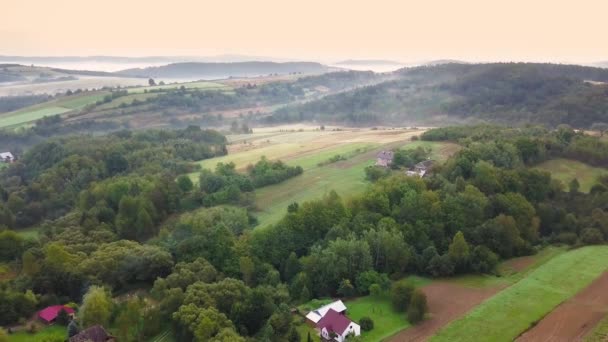 Luchtfoto van bossen, groene heuvels en weiden. — Stockvideo