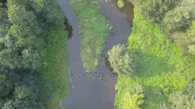 Yeşil çayır üzerinde küçük, düzgün vücutlu Nehri'nin hava atış.