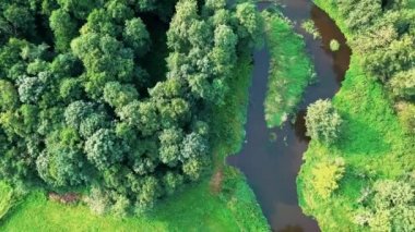Yeşil çayır üzerinde küçük, düzgün vücutlu Nehri'nin hava atış.