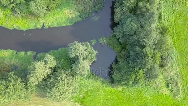 緑の草原に小さな、曲がりくねった川の空中ショット. — ストック動画